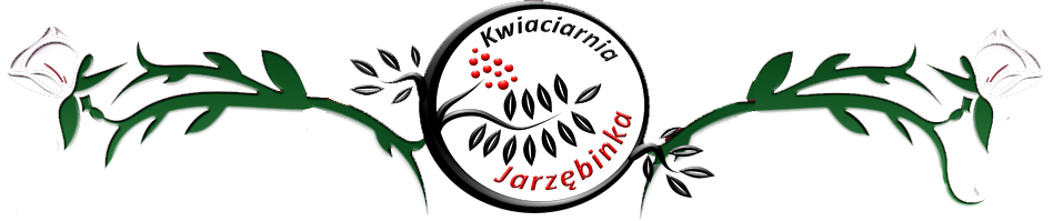 Kwiaciarnia Jarzębinka